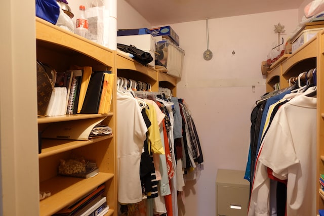 view of spacious closet