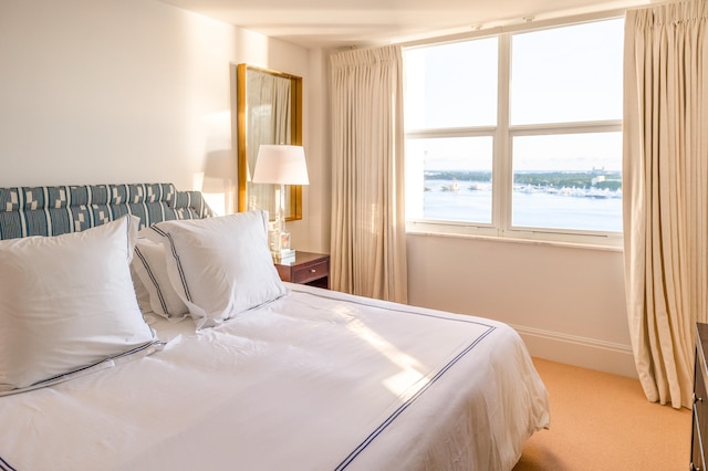 view of carpeted bedroom