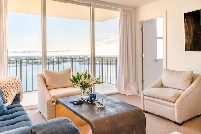 carpeted living room featuring a water view