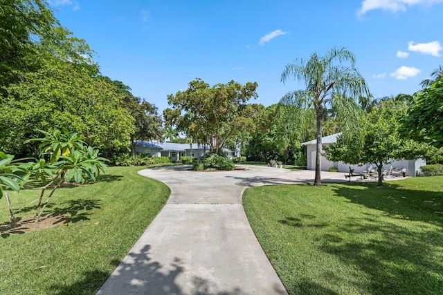 view of community featuring a yard