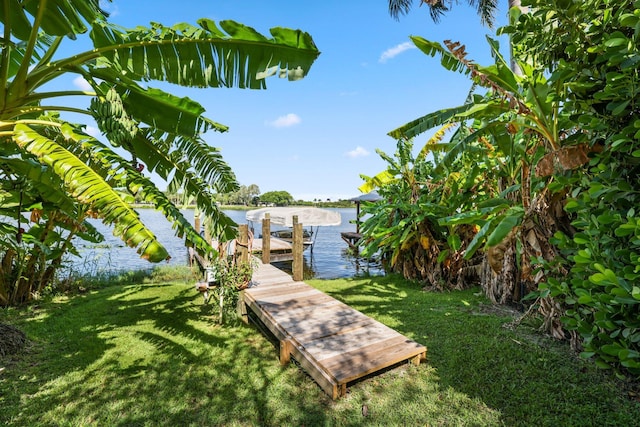 dock area with a lawn and a water view