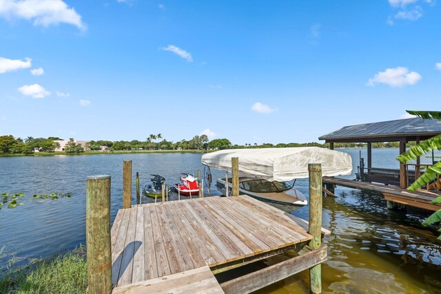 dock area with a water view