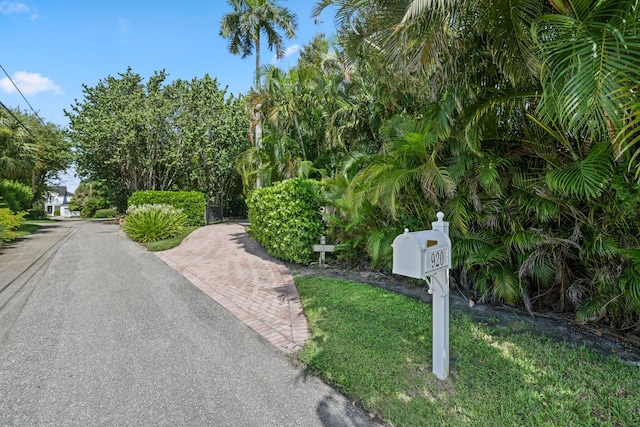 920 Hibiscus Ln, Delray Beach, FL 33444 - view of street