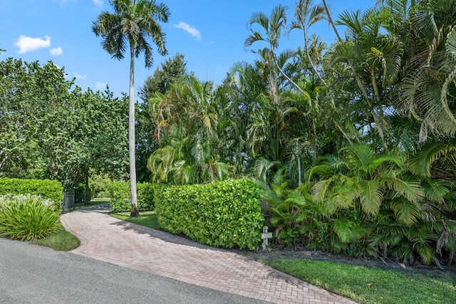 920 Hibiscus Ln, Delray Beach, FL 33444 - view of surrounding community