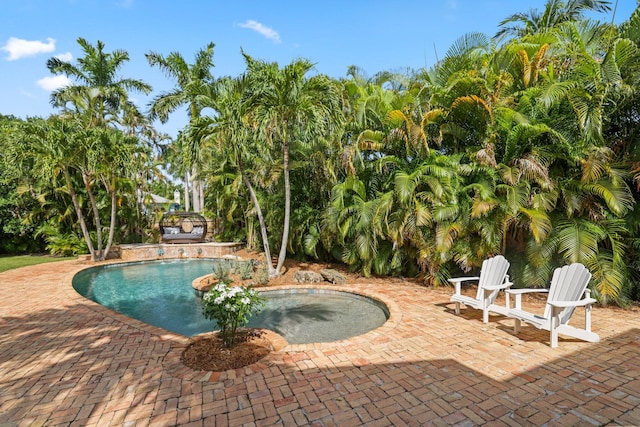 view of pool with a patio area