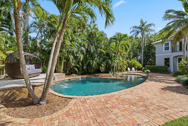 920 Hibiscus Ln, Delray Beach, FL 33444 - outdoor pool with a patio area