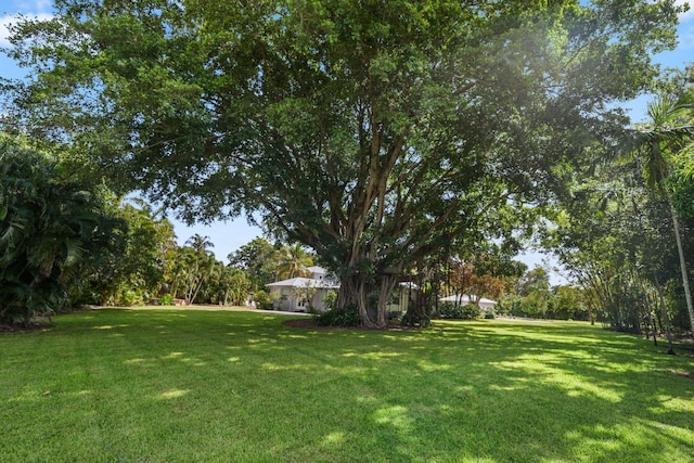 920 Hibiscus Ln, Delray Beach, FL 33444 - view of yard