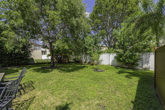 view of yard with a fenced backyard