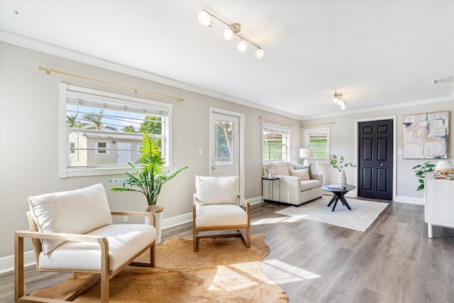 living room featuring ornamental molding, wood-type flooring, and a healthy amount of sunlight