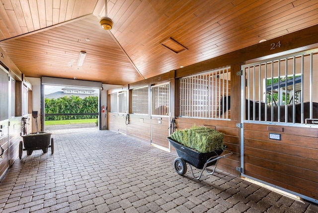 view of horse barn