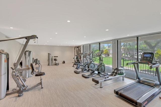 exercise room with light colored carpet and floor to ceiling windows