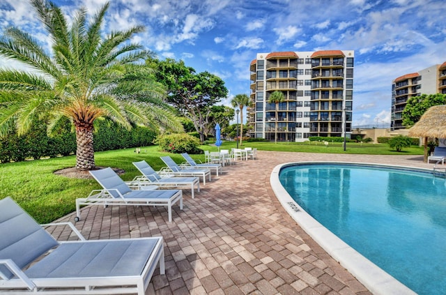 view of swimming pool featuring a patio and a yard