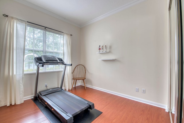 workout room featuring hardwood / wood-style floors and ornamental molding