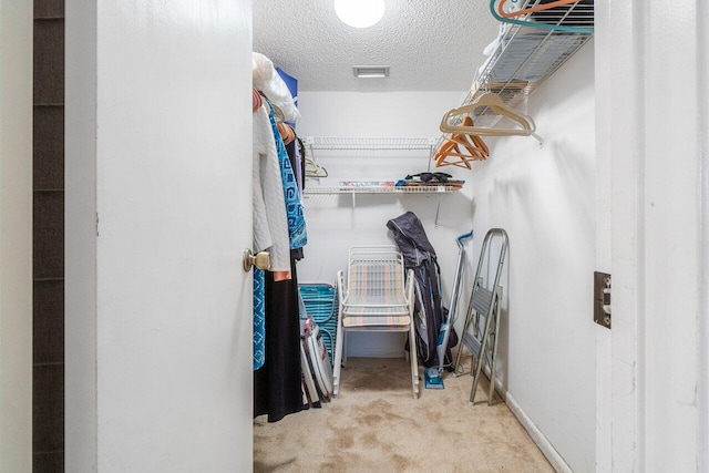 spacious closet with carpet