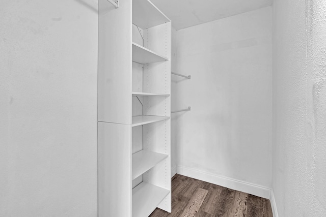 spacious closet featuring dark hardwood / wood-style flooring