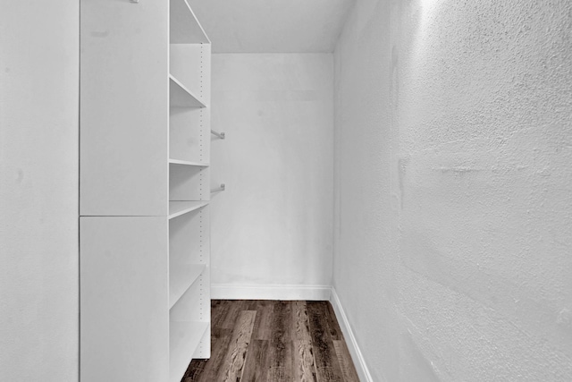 walk in closet featuring hardwood / wood-style flooring