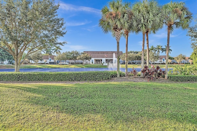 view of community with a lawn