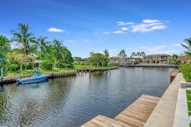 dock area with a water view