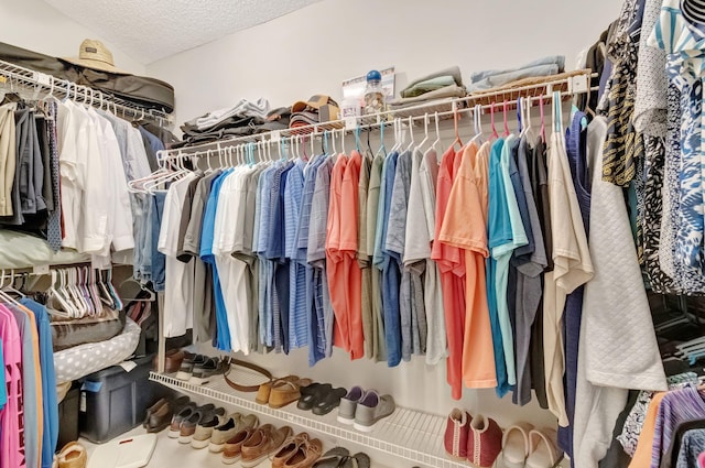 view of spacious closet