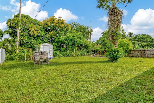 view of yard with a storage shed