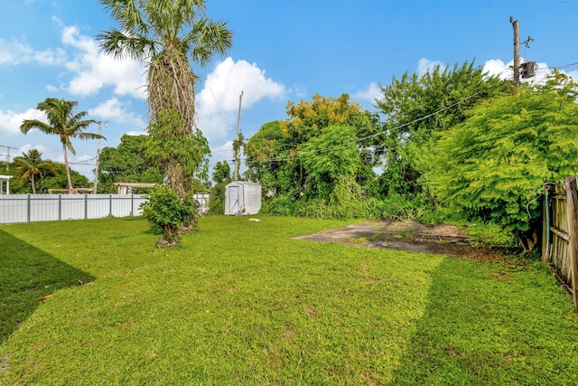 view of yard featuring a storage shed