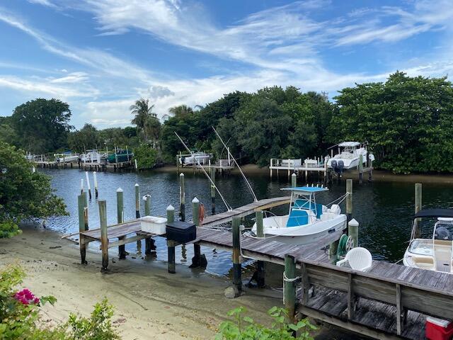 dock area with a water view