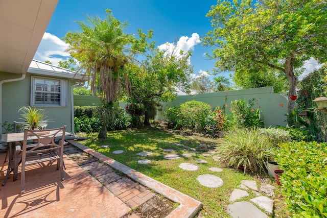 view of yard featuring a patio