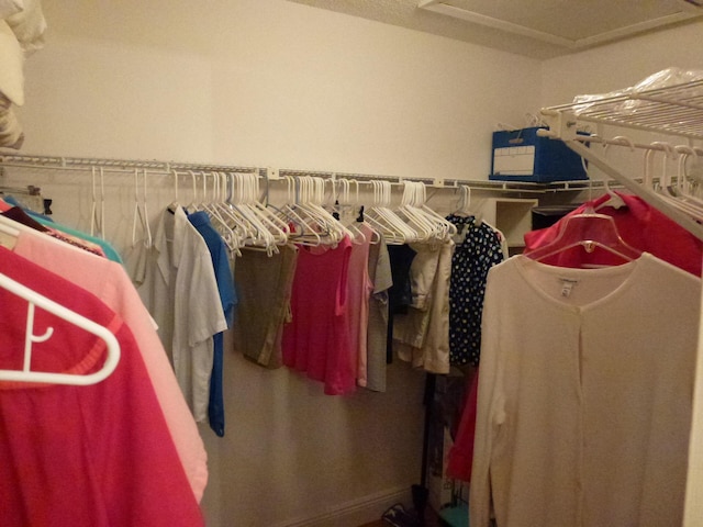 view of spacious closet