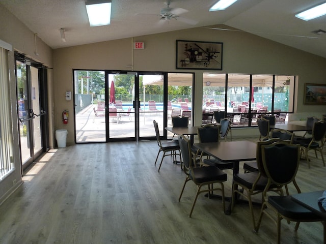 dining room with vaulted ceiling, wood finished floors, and a healthy amount of sunlight