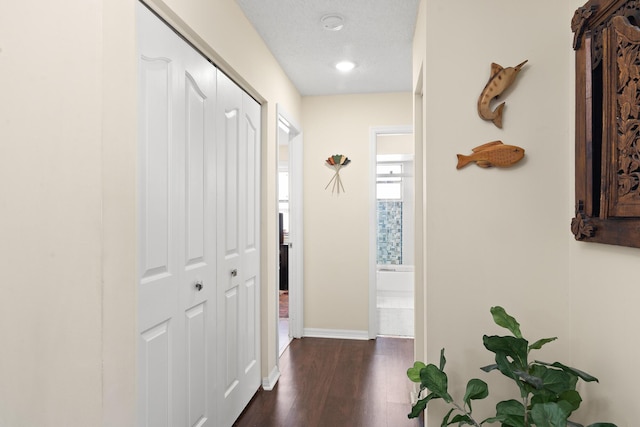 corridor featuring a textured ceiling and dark hardwood / wood-style flooring