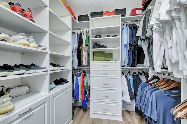 spacious closet featuring light hardwood / wood-style floors