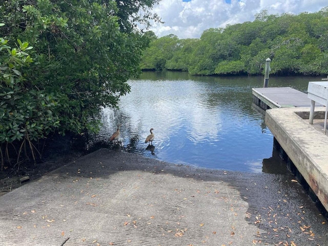 view of dock with a water view and a forest view