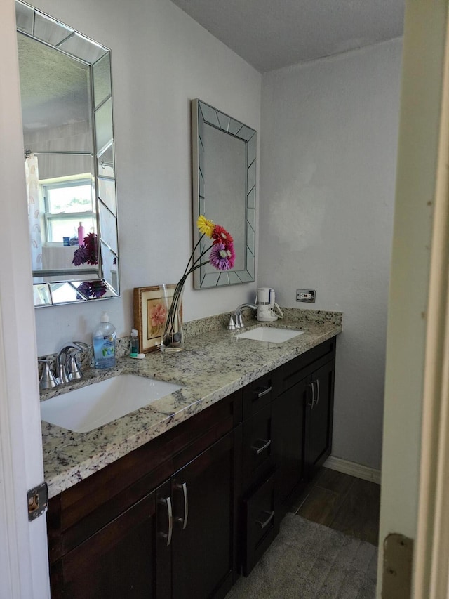 bathroom with hardwood / wood-style flooring and vanity