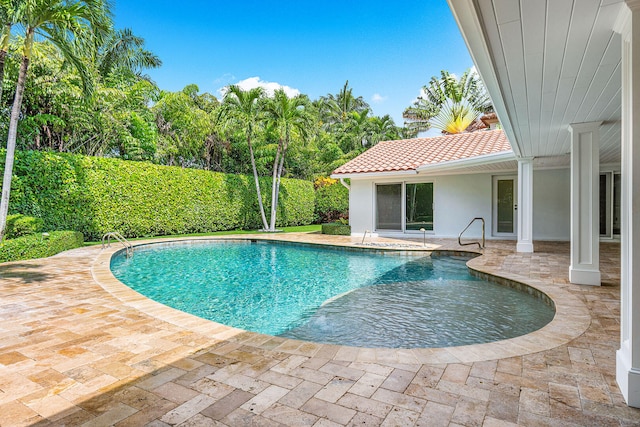 view of pool featuring a patio area