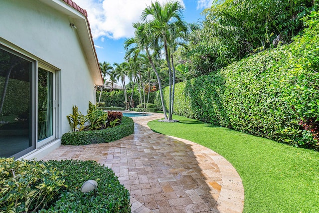 view of yard featuring a patio area