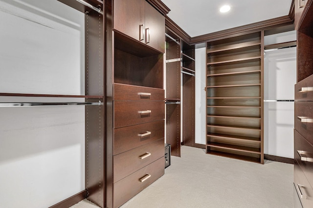 walk in closet with light colored carpet