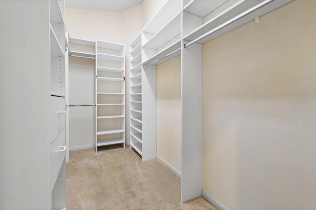 walk in closet featuring light carpet