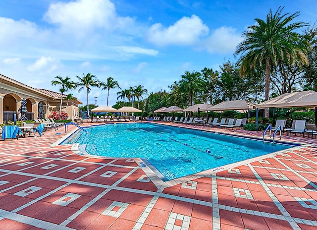 view of pool featuring a patio area