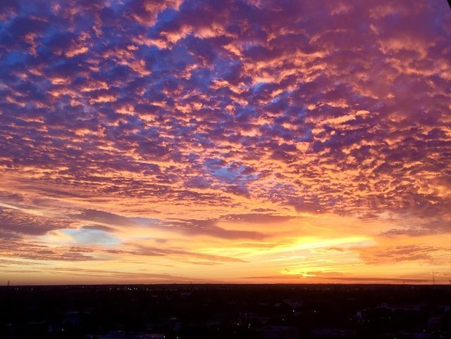 view of nature at dusk