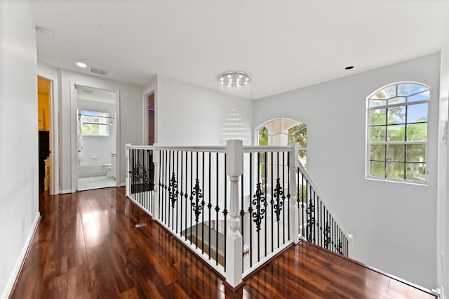 corridor featuring a wealth of natural light and dark hardwood / wood-style floors