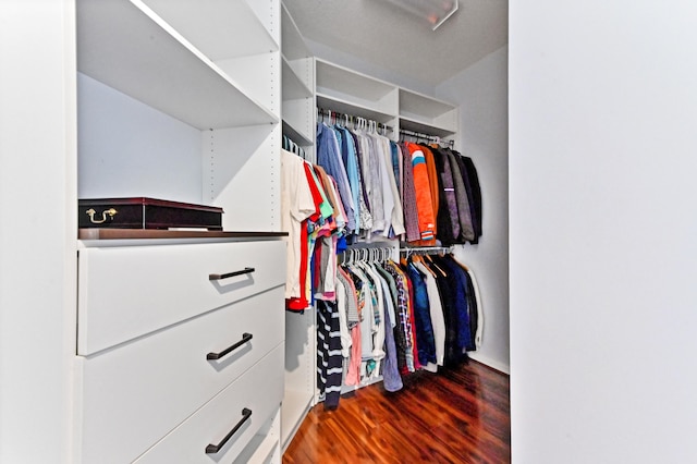 spacious closet with hardwood / wood-style floors