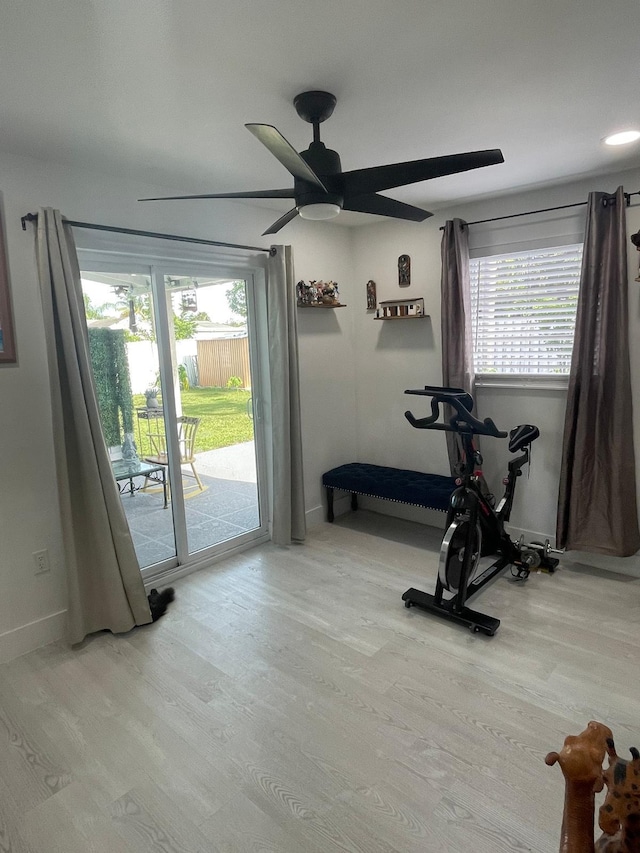 exercise room with light wood-type flooring and ceiling fan