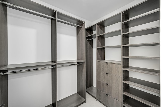 view of walk in closet