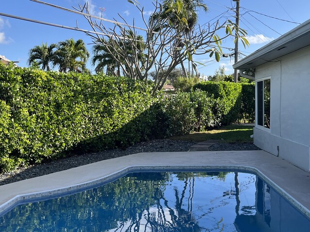 view of swimming pool featuring a patio