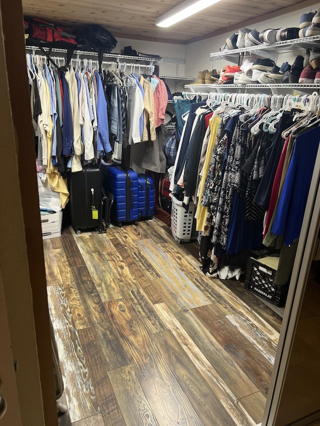 spacious closet with hardwood / wood-style floors