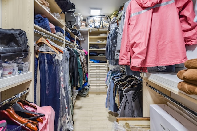 view of spacious closet