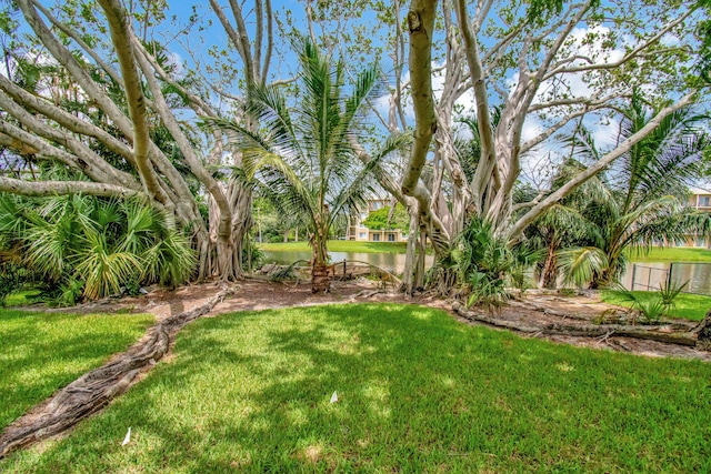 view of yard featuring a water view