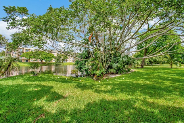 view of yard with a water view