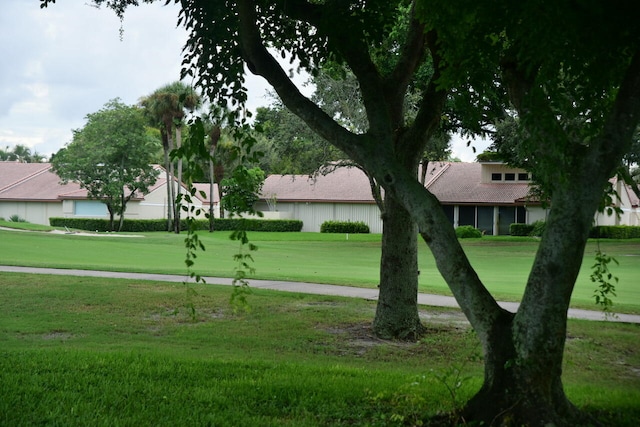 surrounding community featuring a yard