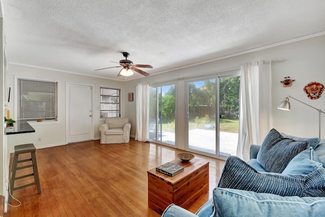 living room with light wood-style floors, ornamental molding, ceiling fan, a textured ceiling, and baseboards